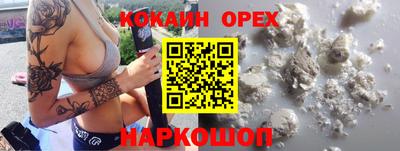 гидра Кандалакша