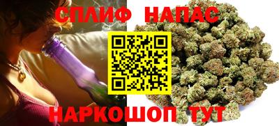 гидра Кандалакша
