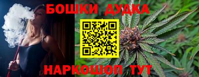 гидра Кандалакша