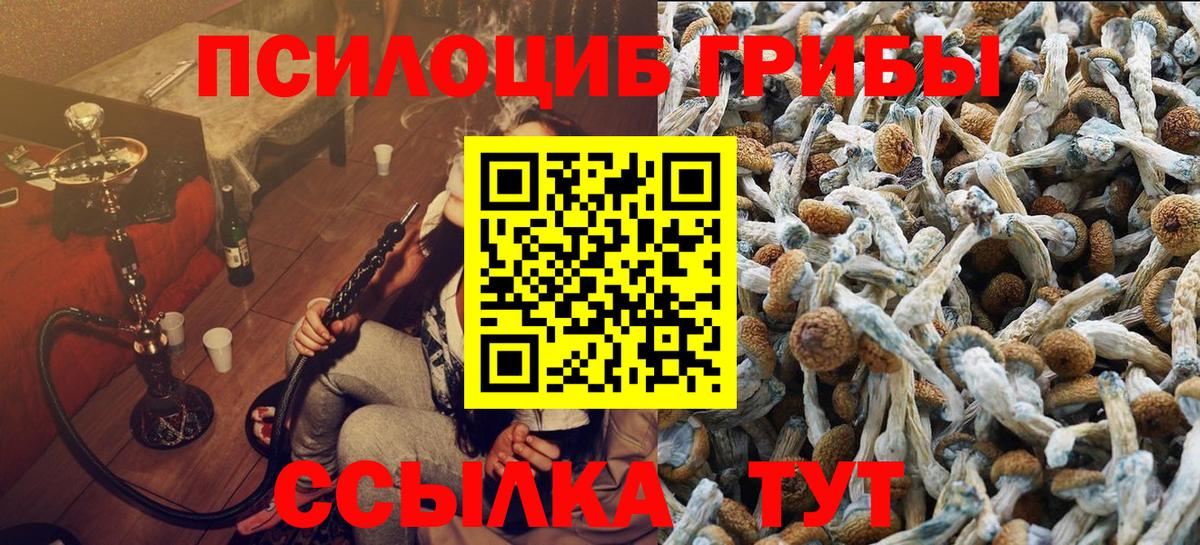 Лабинск  Галлюциногенные грибы мицелий  купить  цена  Вход с VPN 